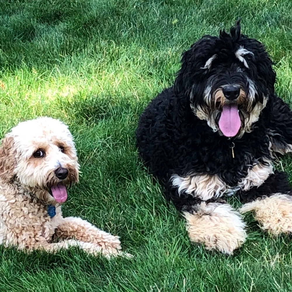 Meet your Posher, Andrew